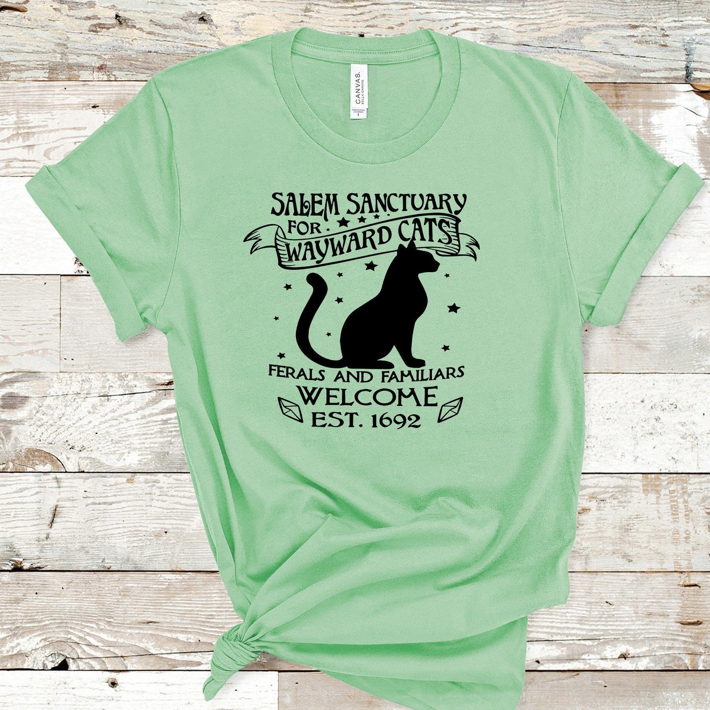 Salem Sanctuary For Wayward Cats, Ferals and Familiars Welcome,  Est 1692, We Love Black Cats, Cat Lover Tee, Witch Familiar, Feral Cats tee